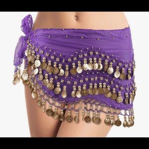 Belly dancing hip scarf, with gold coins and beading. Purchased in Egypt.